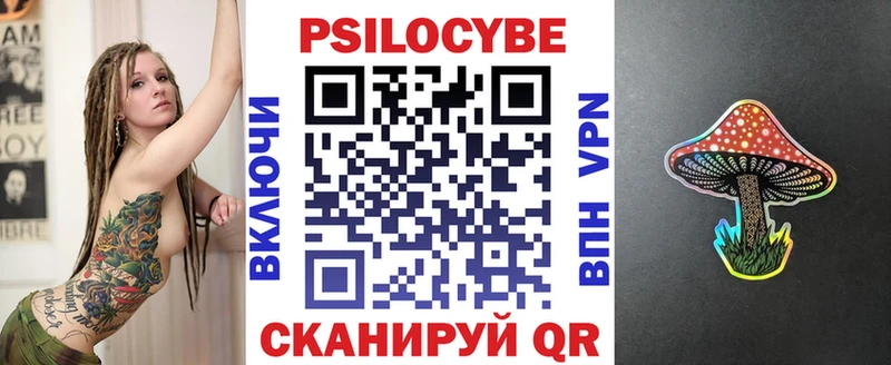 Псилоцибиновые грибы Psilocybe Валуйки